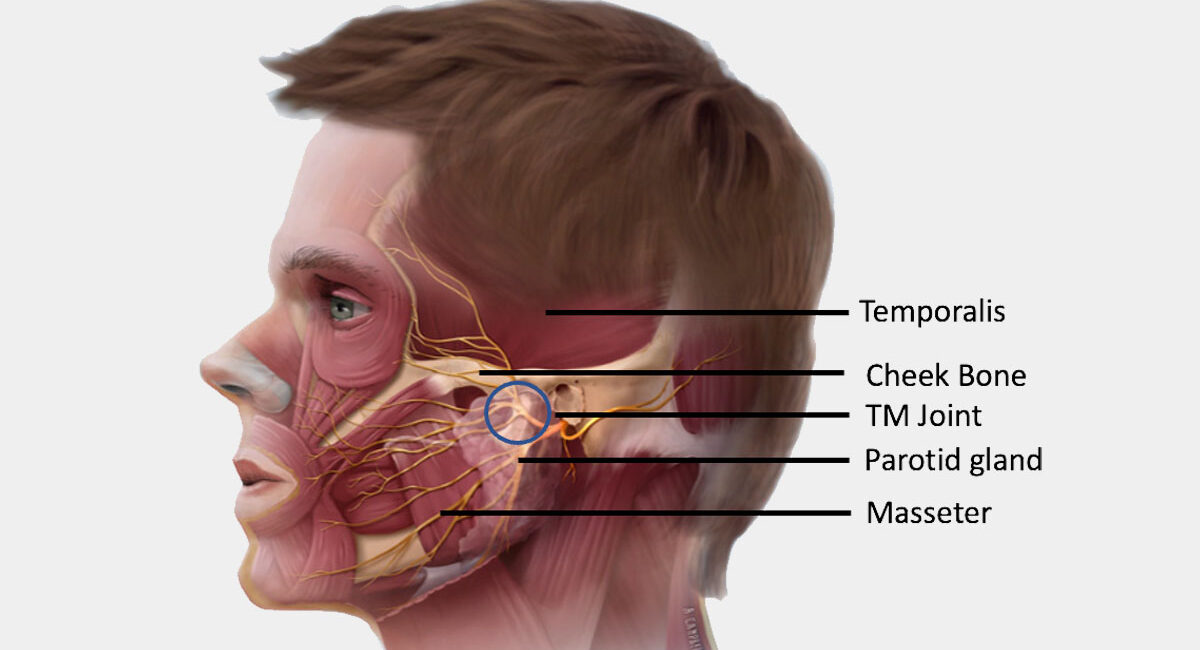 temporomandibular joint surgery specialist in nagpur