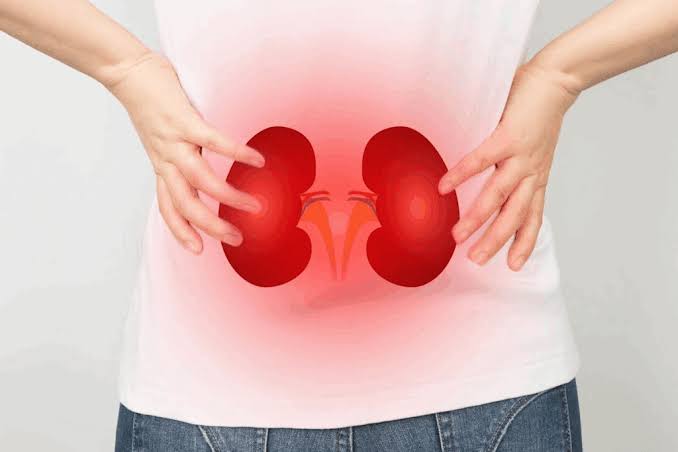 digestive disorders or kidney-related issues begin to interfere with daily life, patients often face persistent discomfort, reduced energy, and serious h