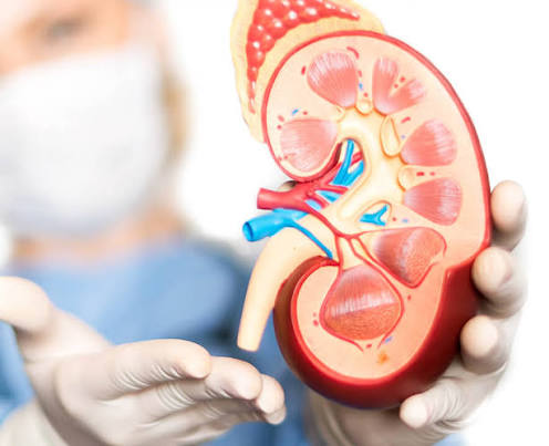Gastro & Kidney Care Specialist Hospital in Guna