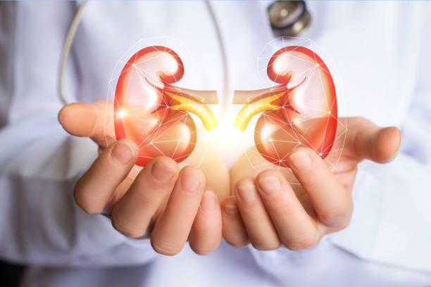 Gastro & Kidney Care Specialist Hospital in Katni