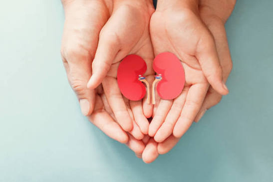 Gastro & Kidney Care Specialist Hospital in Katni