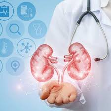 Gastro & Kidney Care Specialist Hospital in Vidisha