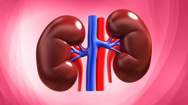 Gastro & Kidney Care Specialist Hospital in Vidisha