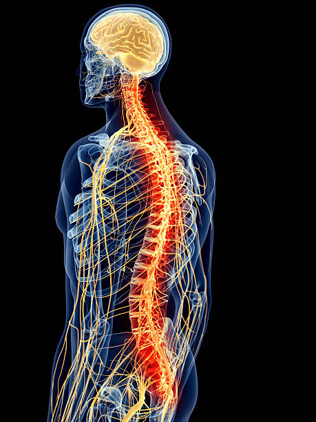 Neuro & Spine Surgery Specialist Hospital in Chhatarpur