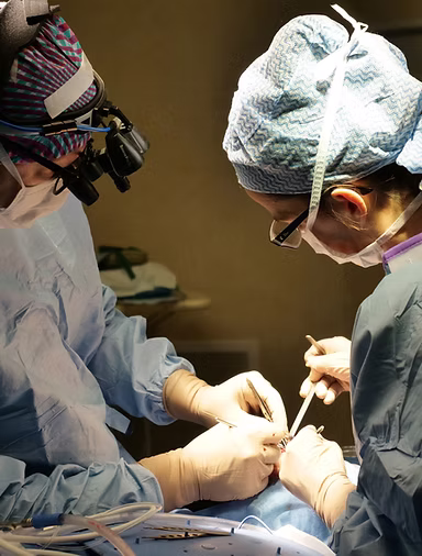 Neuro & Spine Surgery Specialist Hospital in Chhindwara
