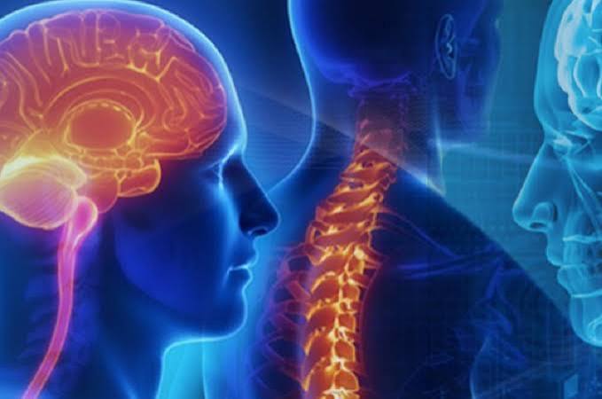 Neuro & Spine Surgery Specialist Hospital in Chhindwara