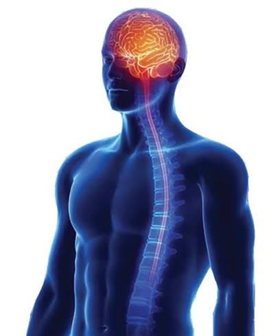 Neuro & Spine Surgery Specialist Hospital in Vidisha