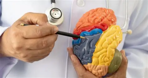 Neuro & spine surgery specialist hospital in rewa
