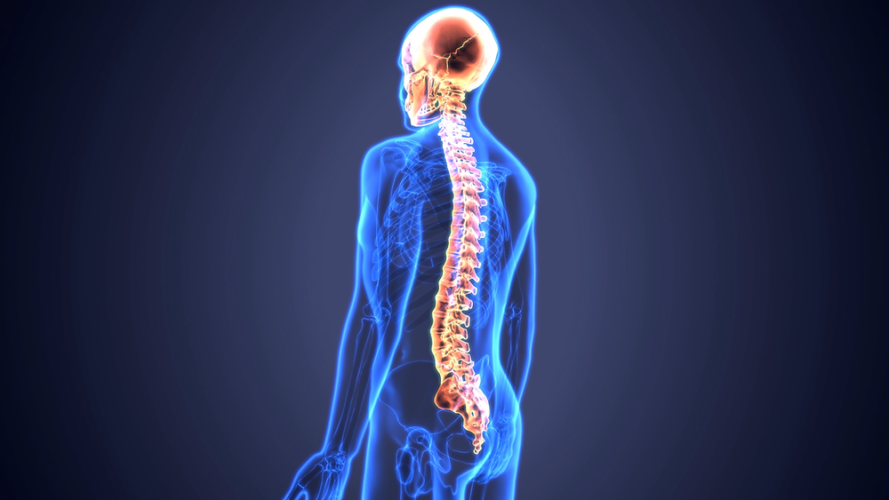 Neuro & spine surgery specialist in wardha